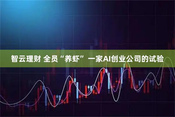智云理财 全员“养虾” 一家AI创业公司的试验