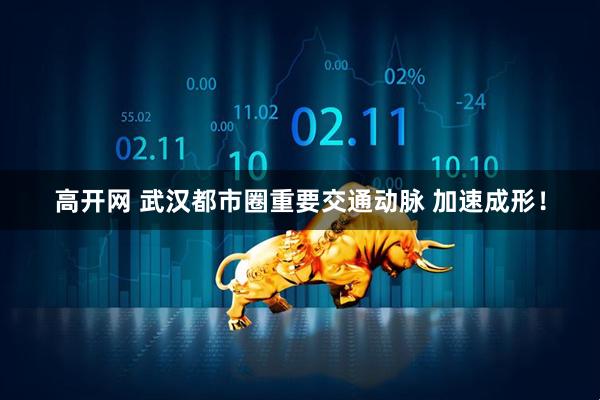 高开网 武汉都市圈重要交通动脉 加速成形！