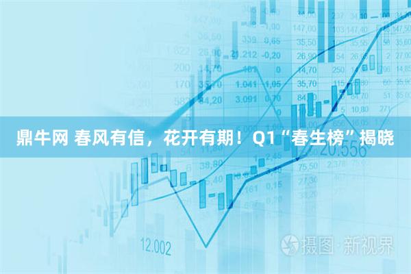 鼎牛网 春风有信，花开有期！Q1“春生榜”揭晓